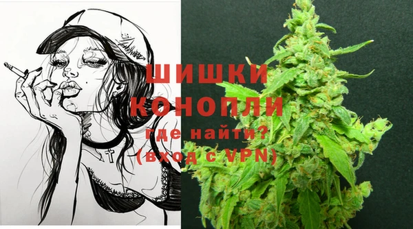 спиды Гусев