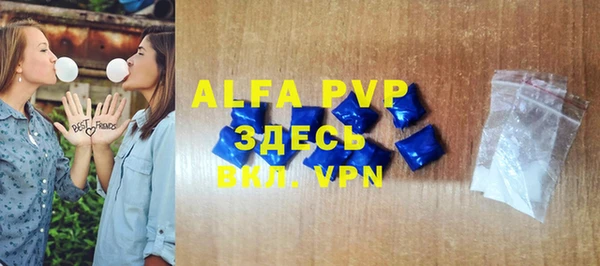 спиды Гусев