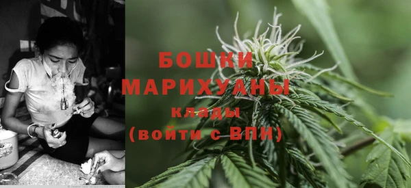 марки nbome Гусь-Хрустальный